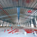  10000m2 - 5
