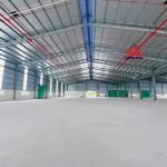  9000m2 - 5