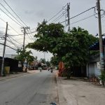  160m2 - 4