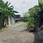  800m2 - 5