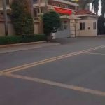  220m2 - 1
