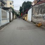  50m2