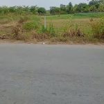  1000m2 - 3