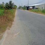  1000m2 - 4