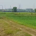  1000m2 - 5