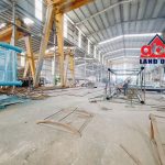  5000m2 - 1
