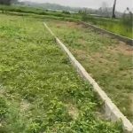  70m2 - 4