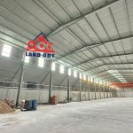  2000m2 - 6