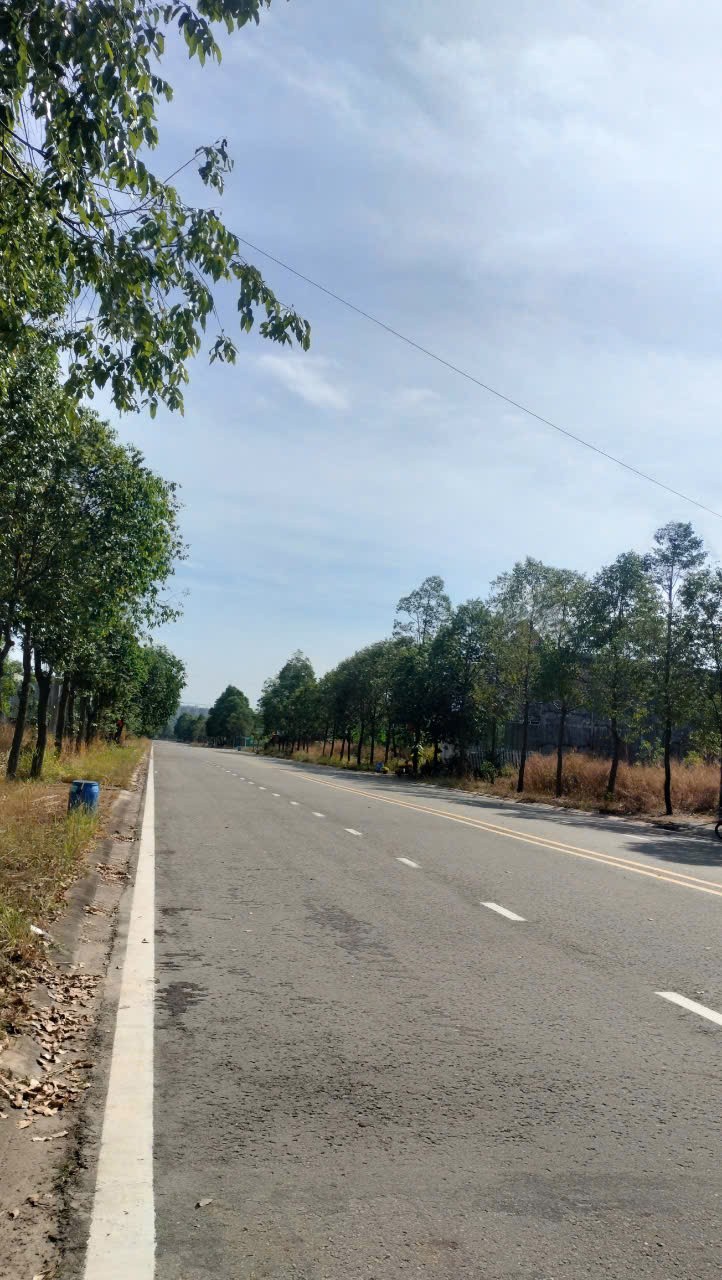 ĐẤT ĐẸP – GIÁ TỐT – ĐẦU TƯ LÀ SINH LỜI - Bán Đất Mặt Tiền Phường Thới Hòa, Bến Cát, Bình Dương