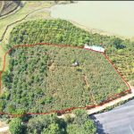  1000m2 - 4