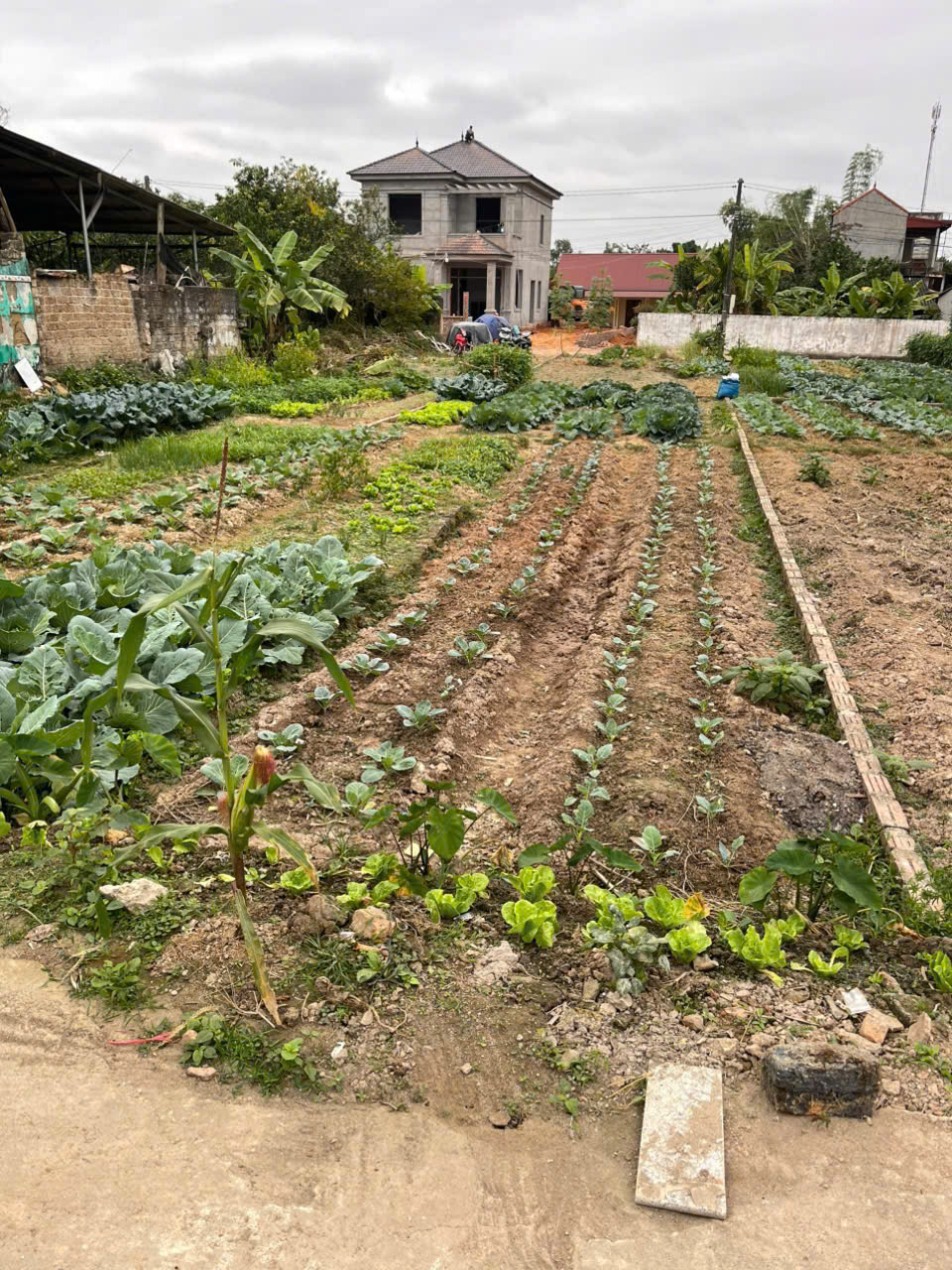 CHÍNH CHỦ BÁN LÔ ĐẤT TIỀM NĂNG – GIÁ CHỈ 8XX TRIỆU - TÂN YÊN, BẮC GIANG