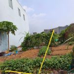  105m2 - 6