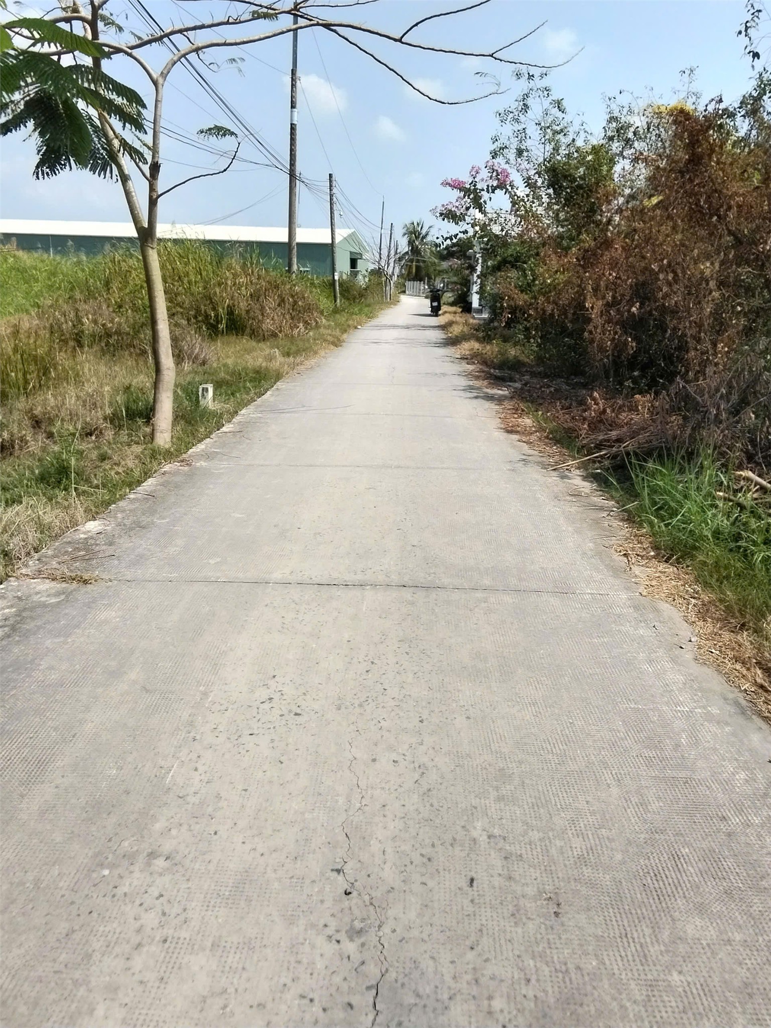 ĐẤT ĐẸP – GIÁ TỐT – CHÍNH CHỦ CẦN BÁN GẤP Tại Xã Phước Đông, Huyện Cần Đước, Long An