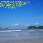  50000m2 - 1