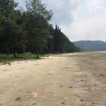  50000m2 - 4