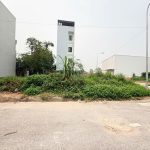  50m2 - 1