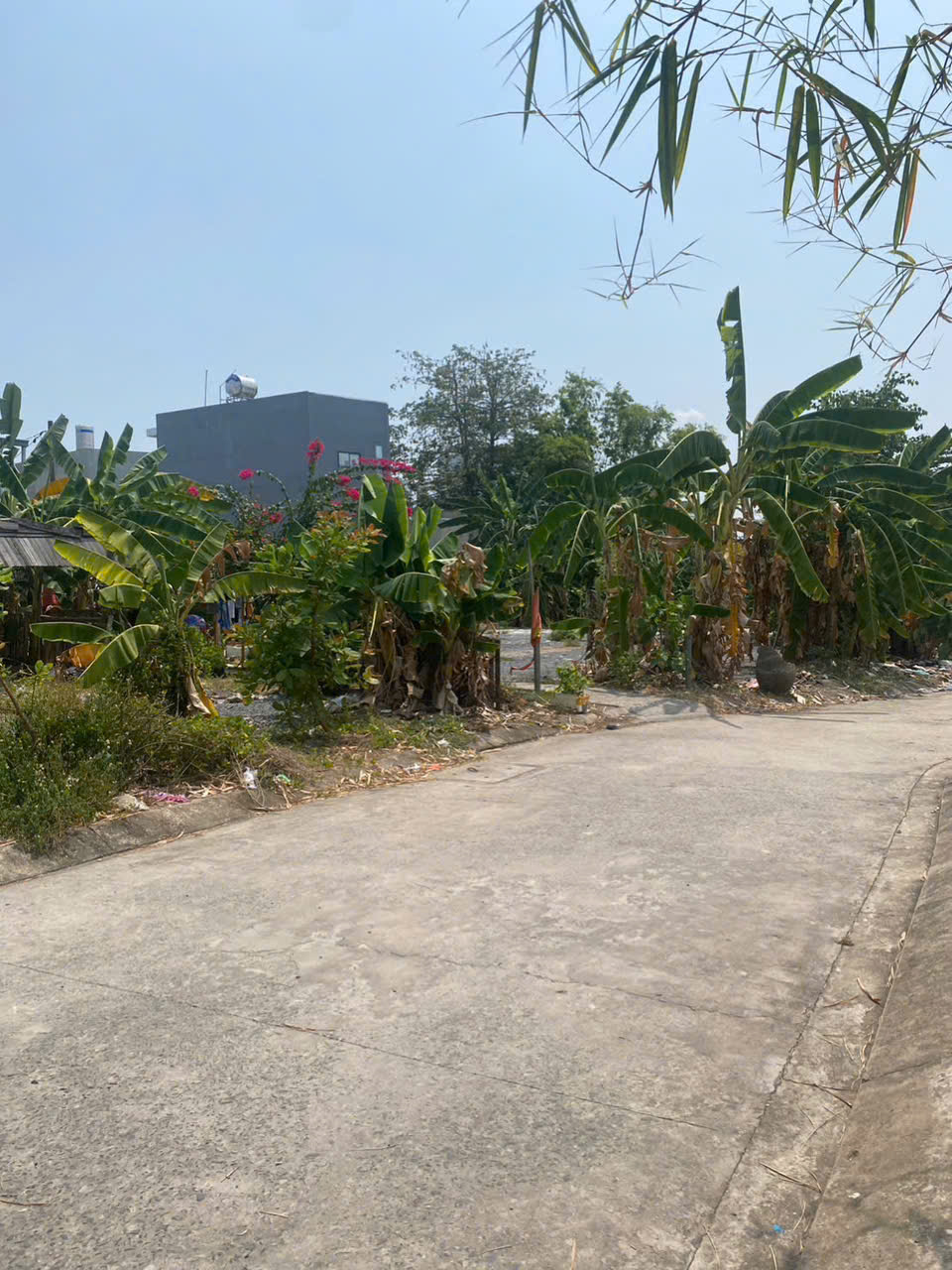 HÀNG NGỘP GIÁ TỐT HẺM XE HƠI, Gần 1900m2 đất duong Đặng văn bi , P.bình thọ thủ đức