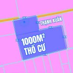  1000m2 - 1