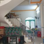  100m2 - 1
