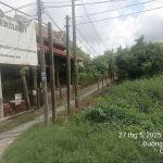  950m2 - 6