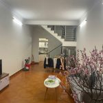  50m2 - 3