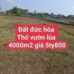  4000m2 - 1