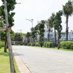  500m2 - 6