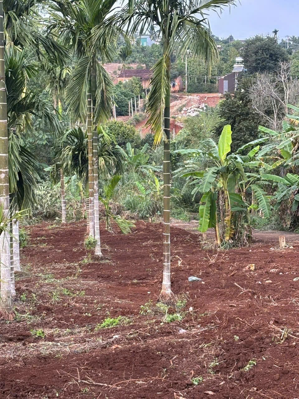 ĐẤT ĐẸP – GIÁ TỐT – CHÍNH CHỦ CẦN BÁN 3 Lô Liền Kề Tại Phú Xuân - Krông Năng - Đắk Lắk