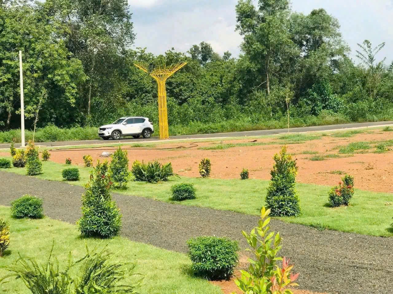 CẦN BÁN NHANH LÔ ĐẤT VỊ TRÍ Gần Trung Tâm Thành Phố Đồng Xoài.