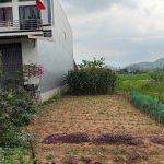  100m2 - 5