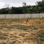  5000m2 - 6