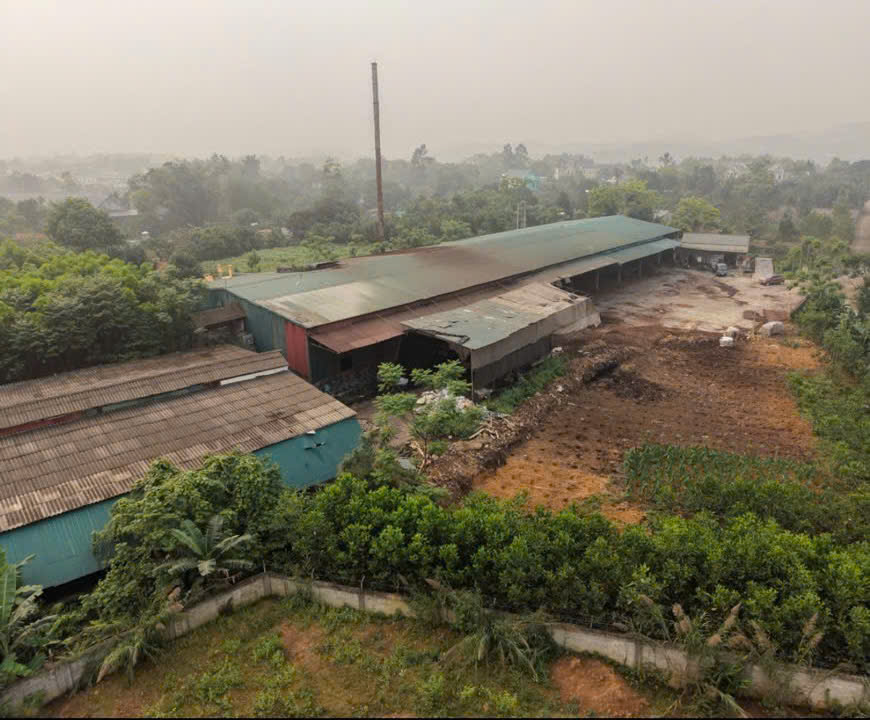 CHO THUÊ hoặc SANG NHƯỢNG ĐẤT và NHÀ XƯỞNG TẠI PHÚ THỌ