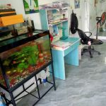  60m2 - 4