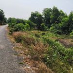  3375m2 - 5