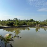 10000m2 - 4