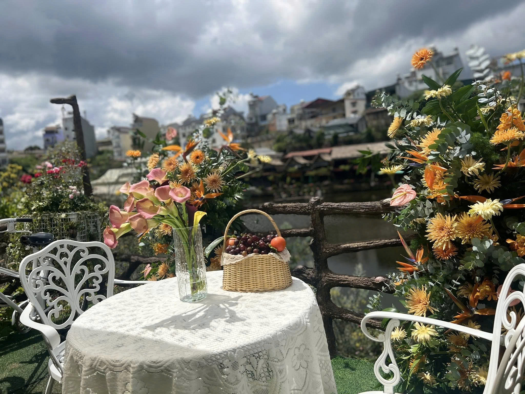 CHỦ SẮP XUẤT CẢNH NÊN CẦN SANG NHƯỢNG GẤP VƯỜN NHO VIEW HỒ – KINH DOANH NGAY TẠI Đà Lạt