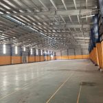  5000m2 - 1