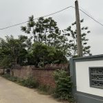  320m2 - 3