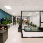  150m2 - 6