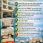  115m2 - 1