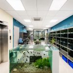  150m2 - 7