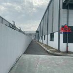  10000m2 - 3