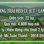  220000m2