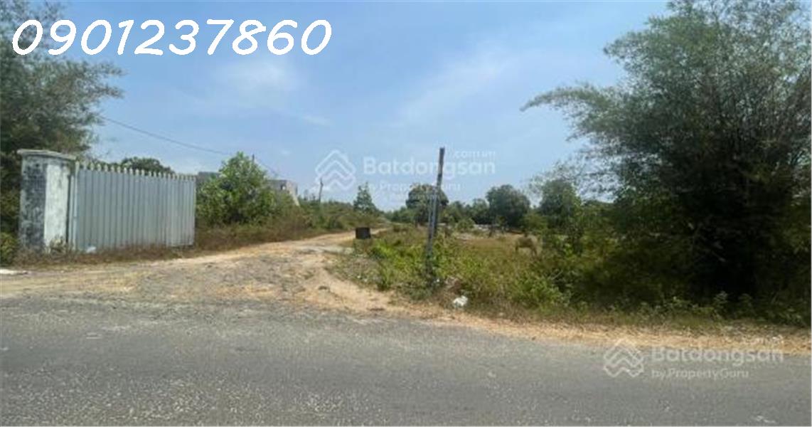 Đất 1.3ha Bình Châu, 45 tỷ, đón sóng đường ven biển và sân bay Long Thành
