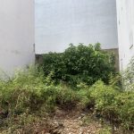  50m2 - 1