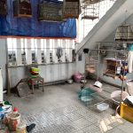 116m2 - 5