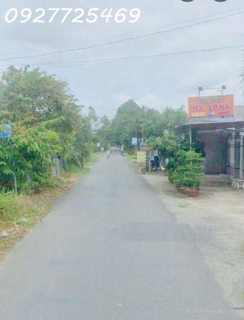 Bán gần 2công8 vườn sầu riêng Ri6 7năm tuổi xã Thành Triệu - Bến Tre