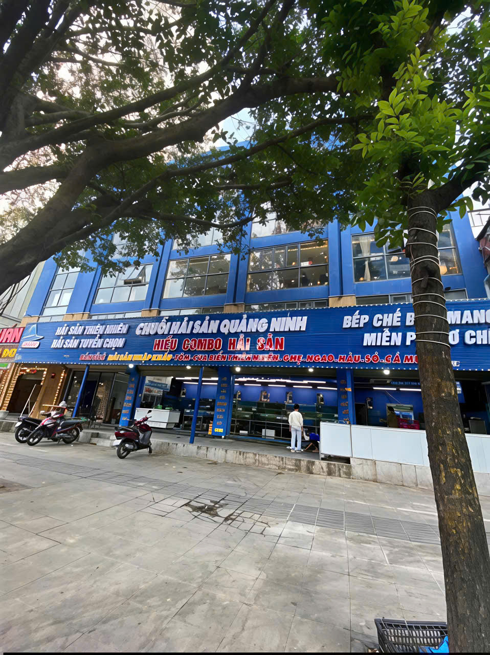 CHO THUÊ NHÀ PHỐ NGUYỄN KHÁNH TOÀN CẦU GIẤY HÀ NỘI Diện tích: 480m Số tầng: 2 tầng Mặt tiền: 20m