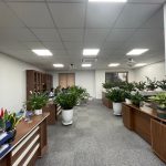  70m2 - 5