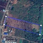  10000m2 - 4
